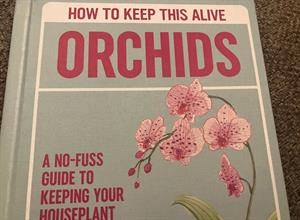 orchids
